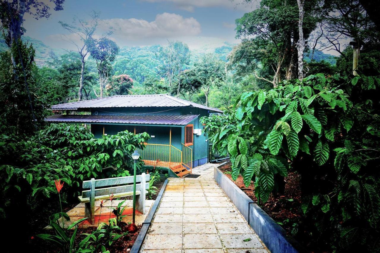 Hill Valley Farm House Nelliyampathy Екстер'єр фото