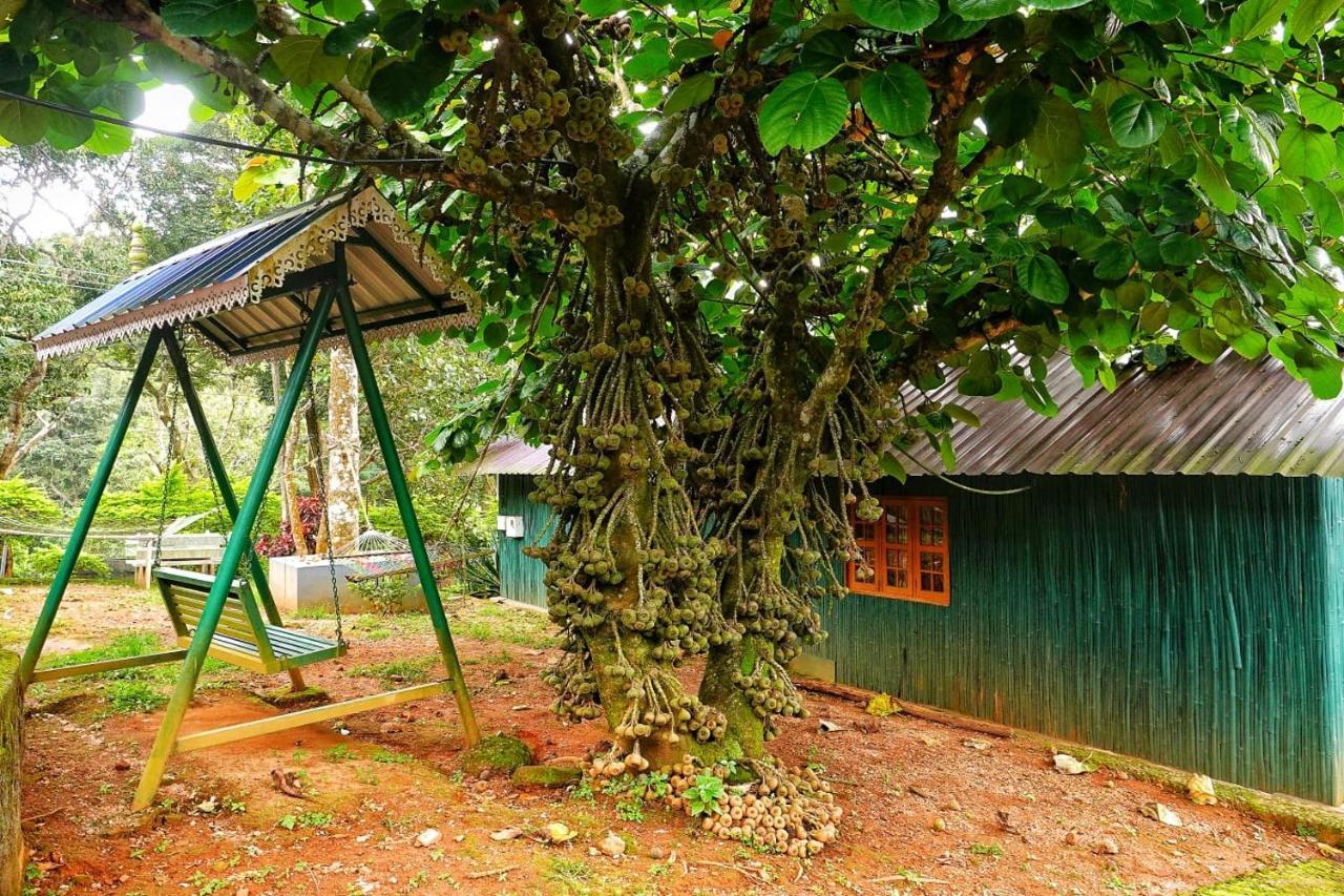 Hill Valley Farm House Nelliyampathy Екстер'єр фото